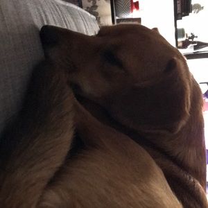 Meet your Posher, Katie